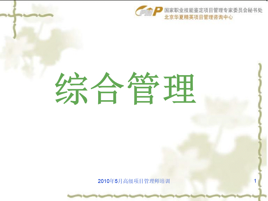 201005高级项目管理师-综合计划.ppt