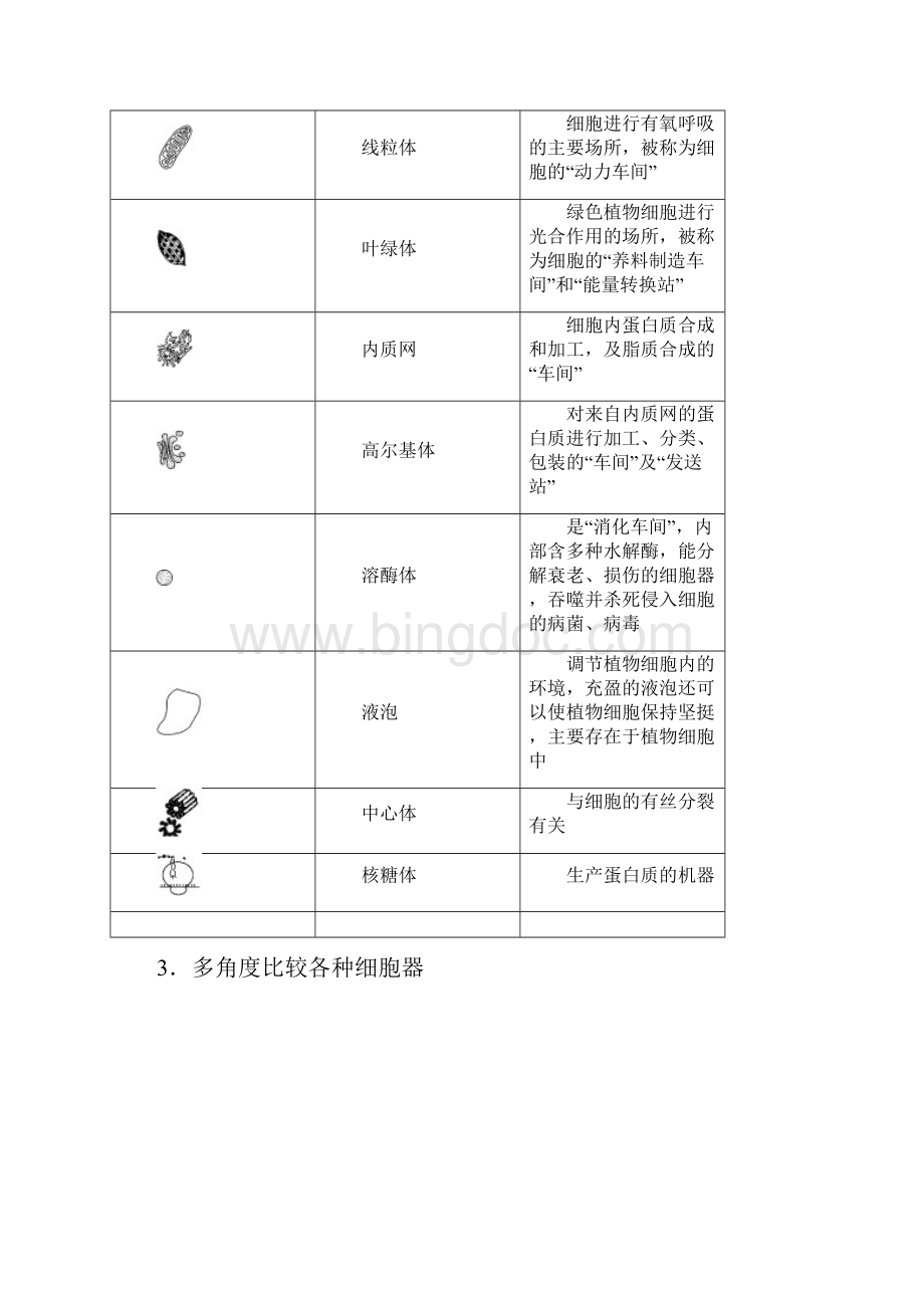 生物届一轮复习人教版细胞器系统内的分工合作学案.docx_第2页