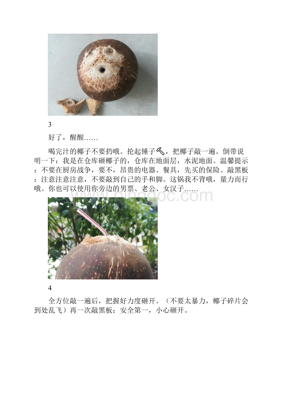 椰子汁椰奶汁椰蓉.docx_第3页