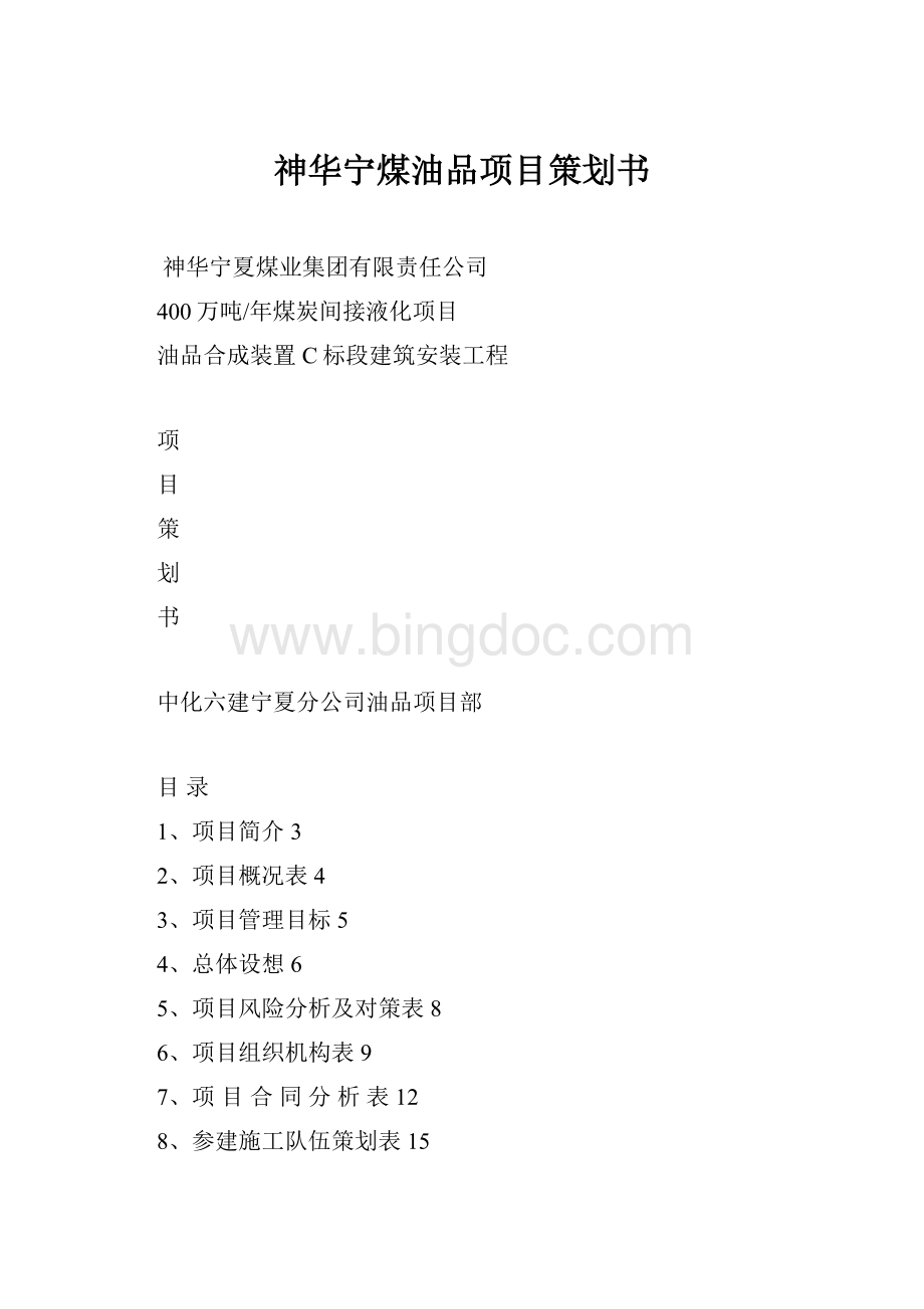 神华宁煤油品项目策划书.docx_第1页