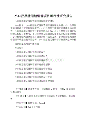 小口径厚壁无缝钢管项目可行性研究报告Word格式.docx