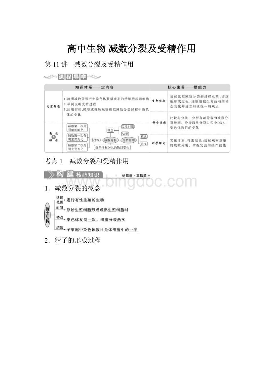 高中生物 减数分裂及受精作用.docx_第1页