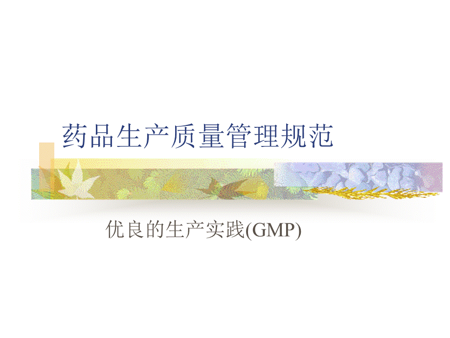 GMP培训教材PPT推荐.ppt