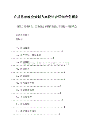 公益慈善晚会策划方案设计含详细应急预案.docx