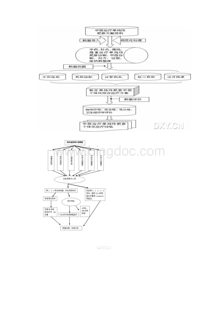 精品国家自然科学基金申请标书的技术路线图10个简单就是美.docx_第2页