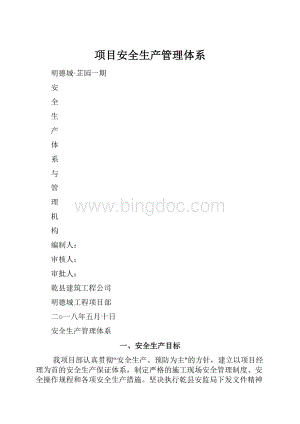 项目安全生产管理体系Word文档格式.docx