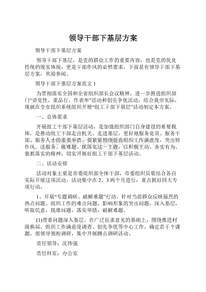 领导干部下基层方案Word文件下载.docx