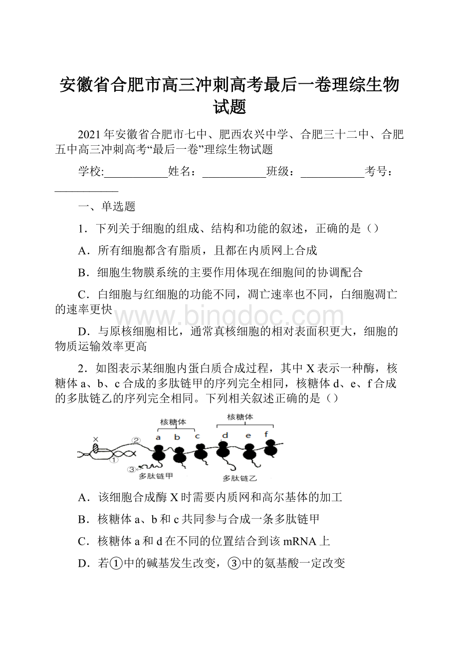 安徽省合肥市高三冲刺高考最后一卷理综生物试题Word文件下载.docx