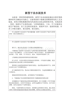 新型干法水泥技术Word文档下载推荐.docx