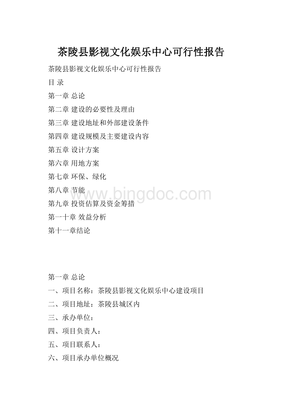 茶陵县影视文化娱乐中心可行性报告文档格式.docx_第1页