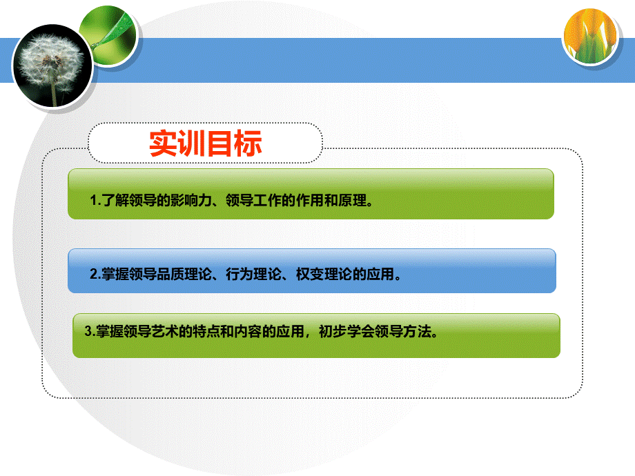 领导实训与练习.ppt_第2页