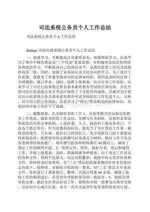 司法系统公务员个人工作总结.docx