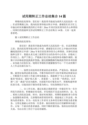 试用期转正工作总结集合14篇.docx