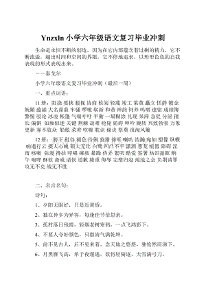 Ynzxln小学六年级语文复习毕业冲刺Word格式.docx