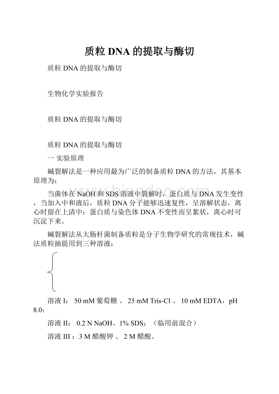 质粒DNA的提取与酶切Word文档格式.docx_第1页