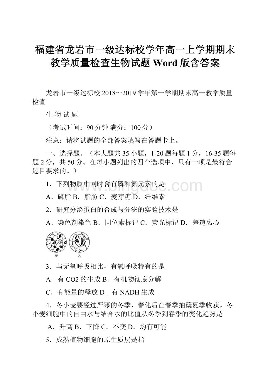 福建省龙岩市一级达标校学年高一上学期期末教学质量检查生物试题 Word版含答案Word格式文档下载.docx_第1页