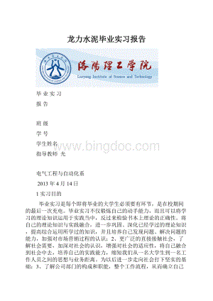 龙力水泥毕业实习报告.docx