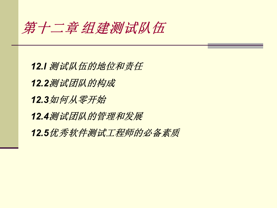 软件测试组建测试队伍.ppt_第2页