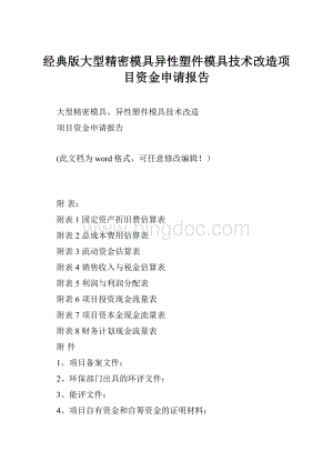 经典版大型精密模具异性塑件模具技术改造项目资金申请报告Word格式文档下载.docx