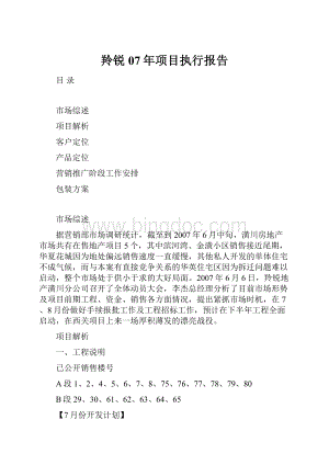 羚锐07年项目执行报告Word下载.docx