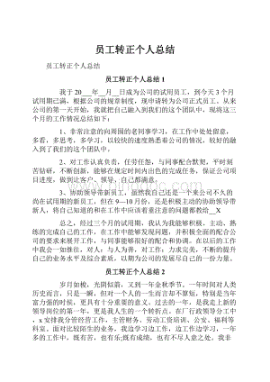 员工转正个人总结.docx