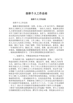 挂职个人工作总结.docx