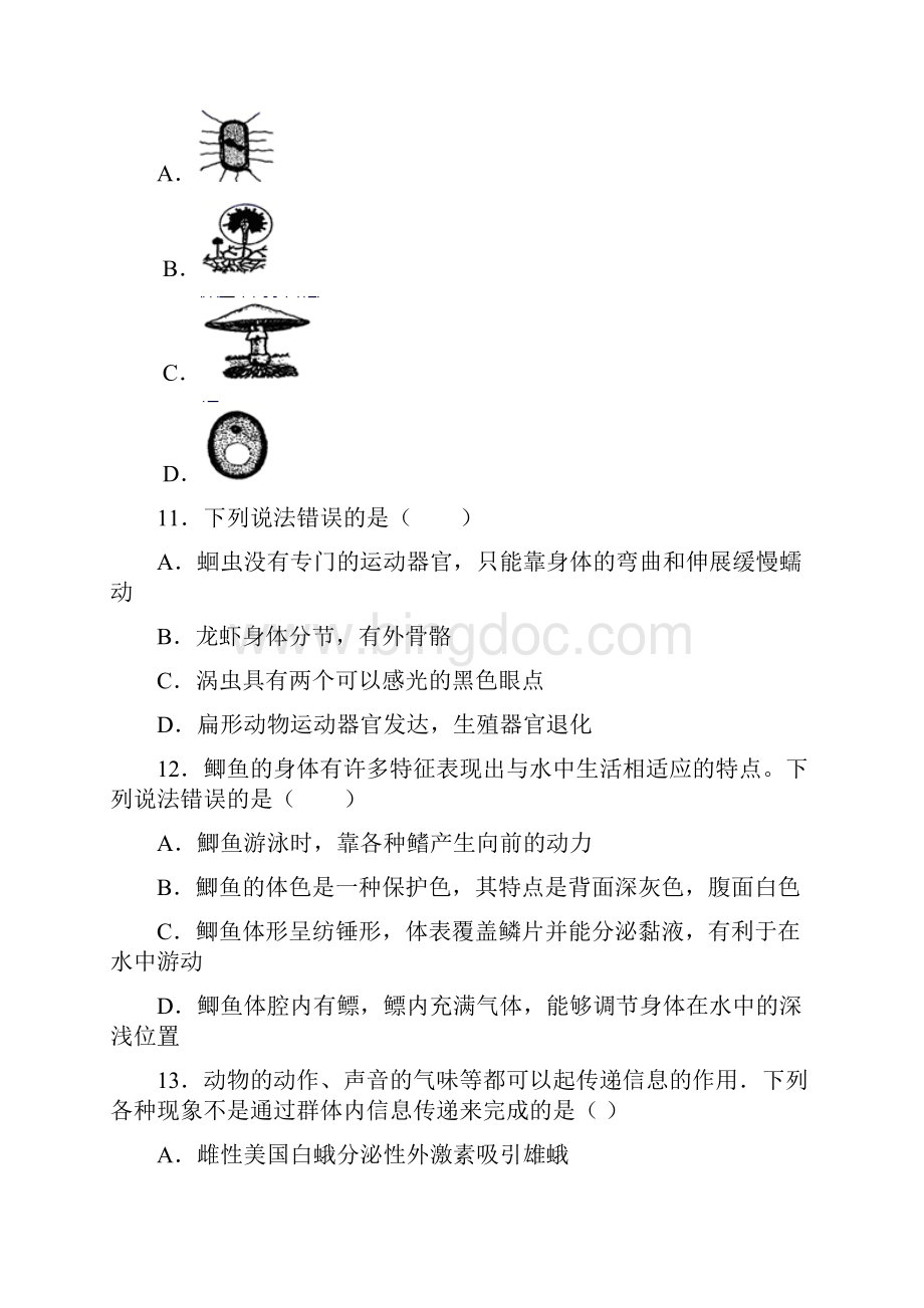 上海育鹰学校八年级上学期 期末生物试题及答案.docx_第3页