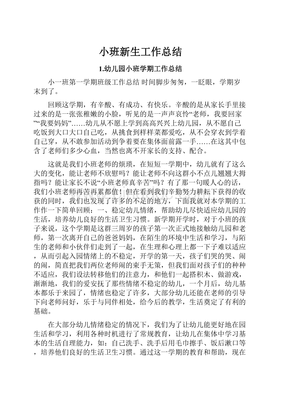 小班新生工作总结Word文档格式.docx