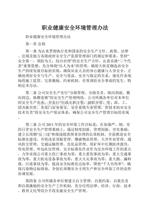 职业健康安全环境管理办法文档格式.docx