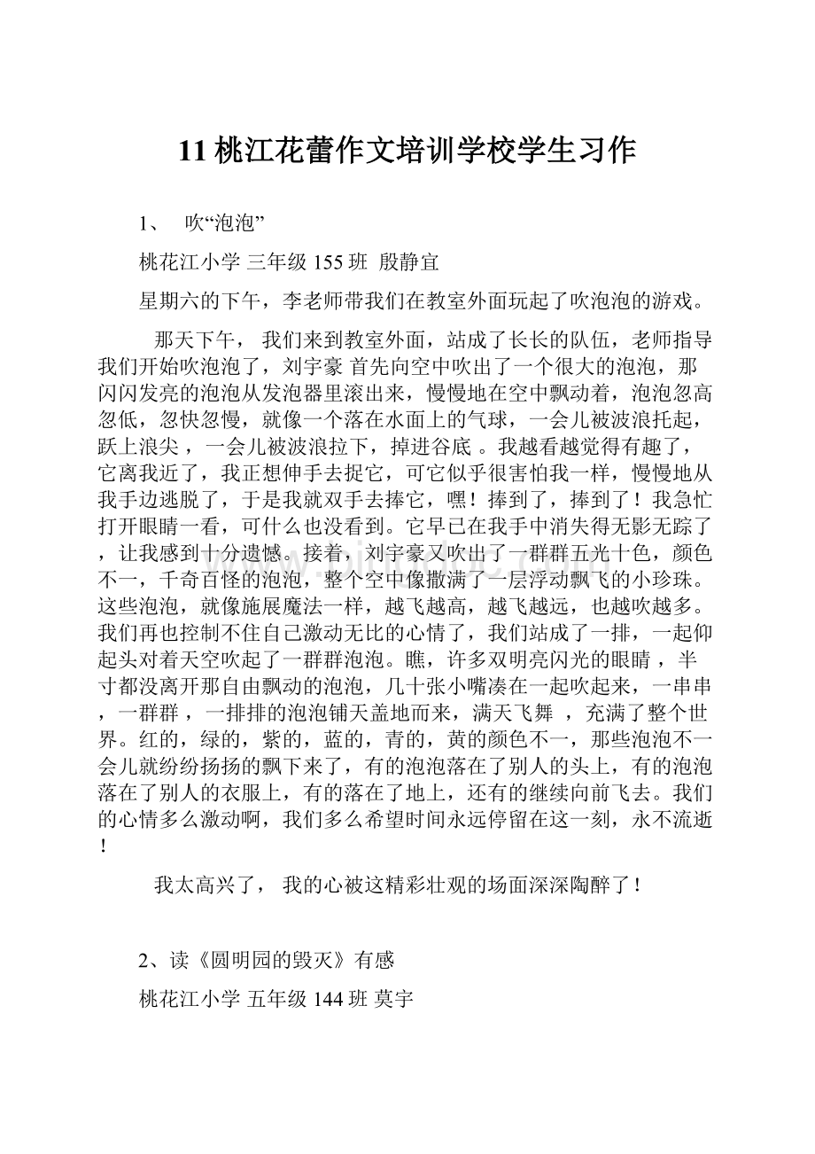 11桃江花蕾作文培训学校学生习作文档格式.docx