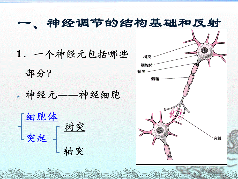 生物神经系统PPT格式课件下载.ppt_第3页