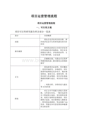 项目运营管理流程.docx