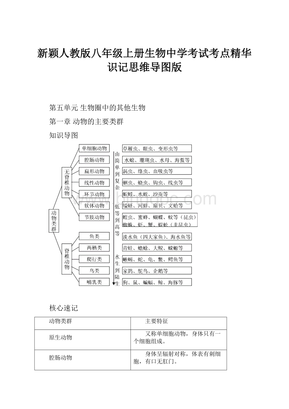 新颖人教版八年级上册生物中学考试考点精华识记思维导图版文档格式.docx