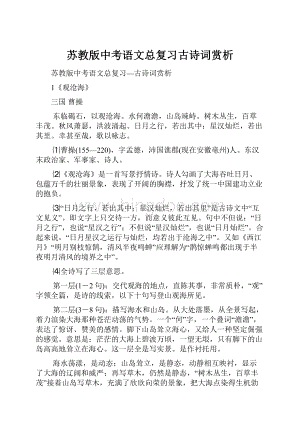 苏教版中考语文总复习古诗词赏析.docx