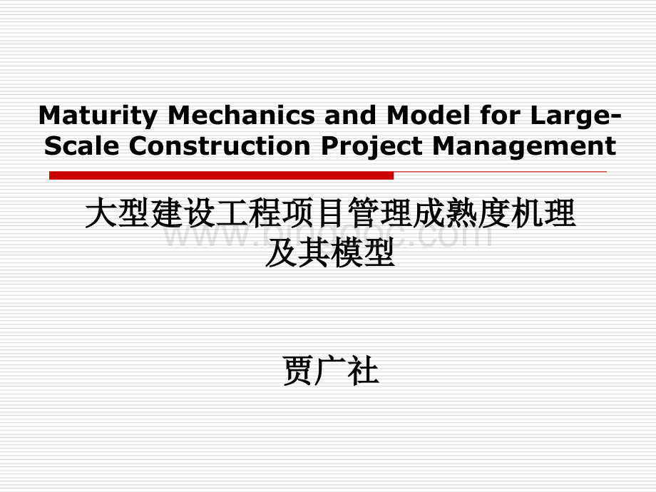 大型建设工程项目管理成熟度机理及.ppt_第2页