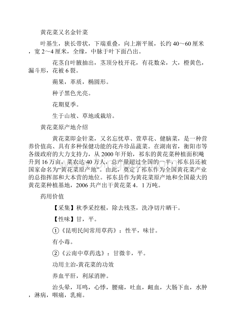 黄花菜文档格式.docx_第3页