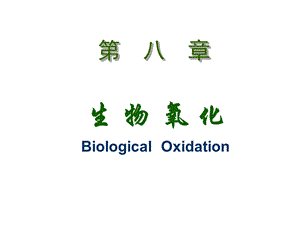 第八章生物氧化(中医).ppt