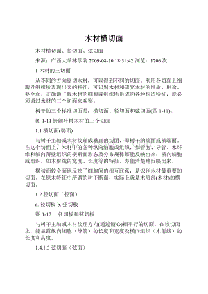 木材横切面Word文档格式.docx