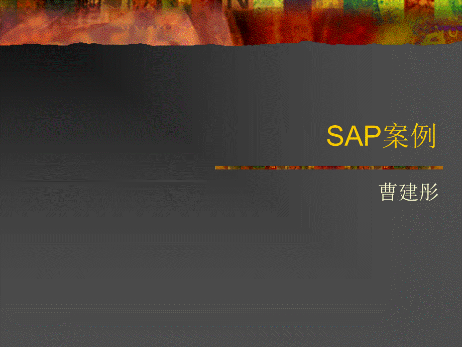 管理信息系统SAP案例.ppt