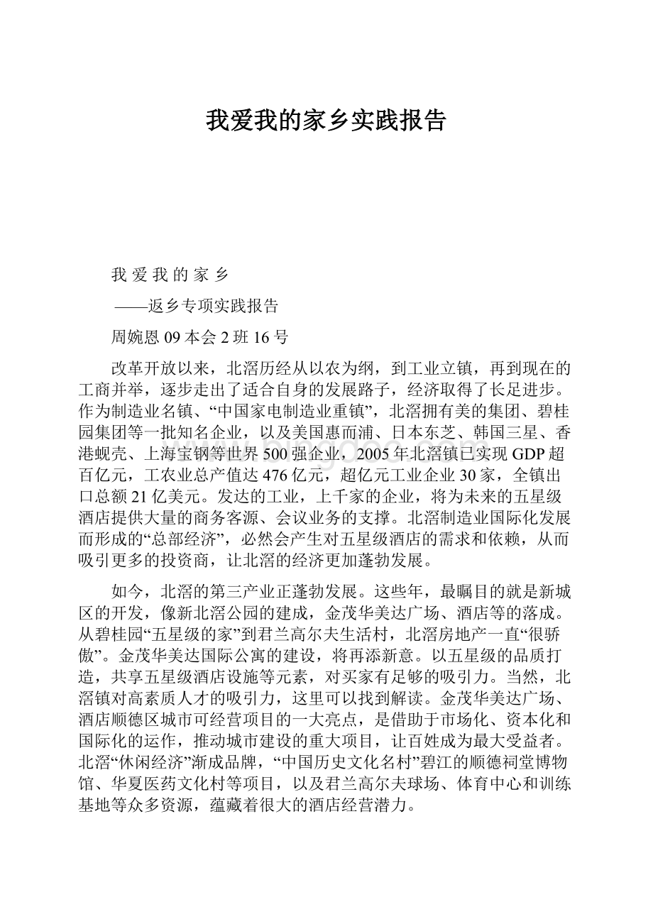 我爱我的家乡实践报告.docx