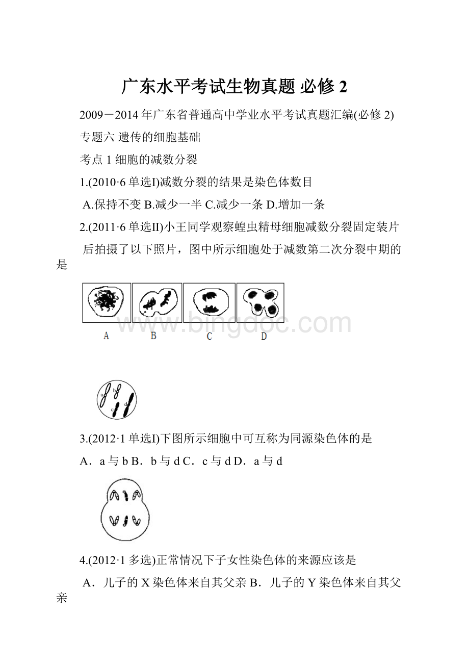 广东水平考试生物真题必修2Word文件下载.docx