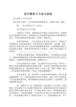 电子商务个人实习总结Word格式.docx