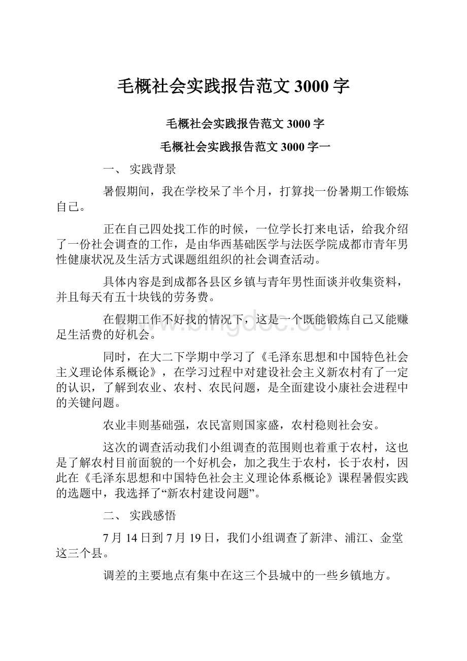 毛概社会实践报告范文3000字Word文档格式.docx