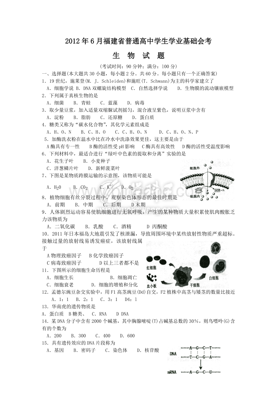 2012年6月福建省高中生物会考试题文档格式.doc
