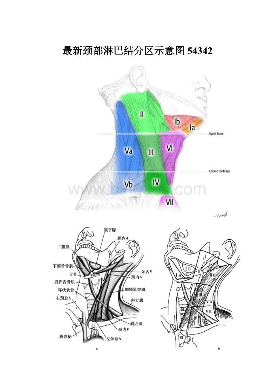 最新颈部淋巴结分区示意图54342.docx