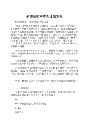 新塘边初中春泥计划方案Word文件下载.docx