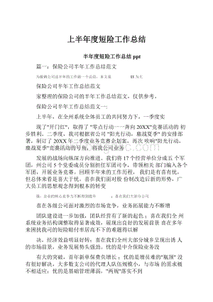 上半年度短险工作总结.docx