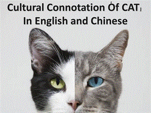 猫的中英文文化.ppt