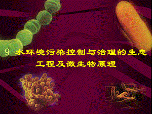 水环境污染控制与治理的生态工程及微生物原理.ppt