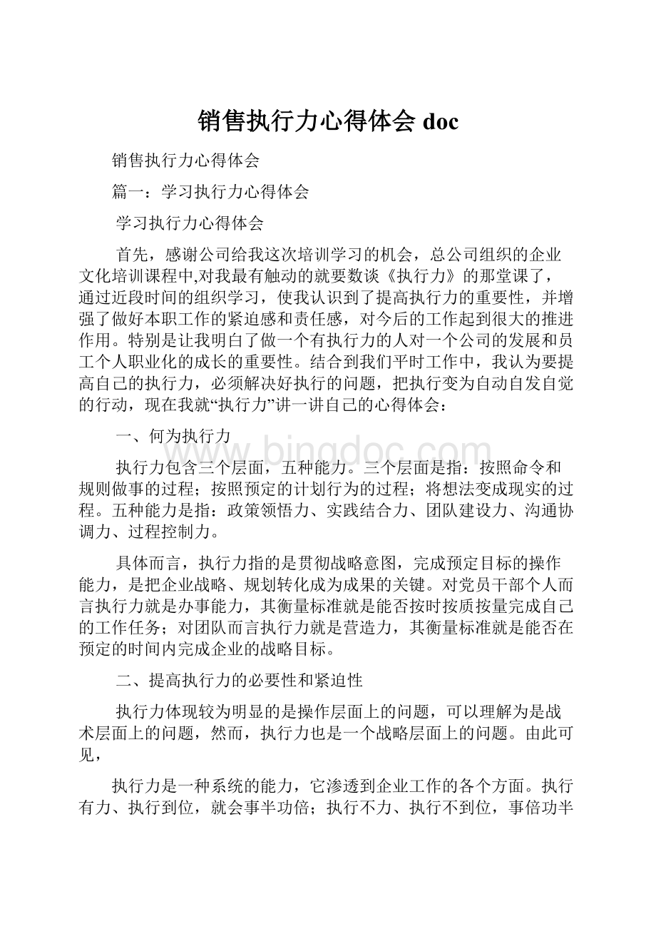 销售执行力心得体会doc.docx